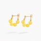Elegant Earrings