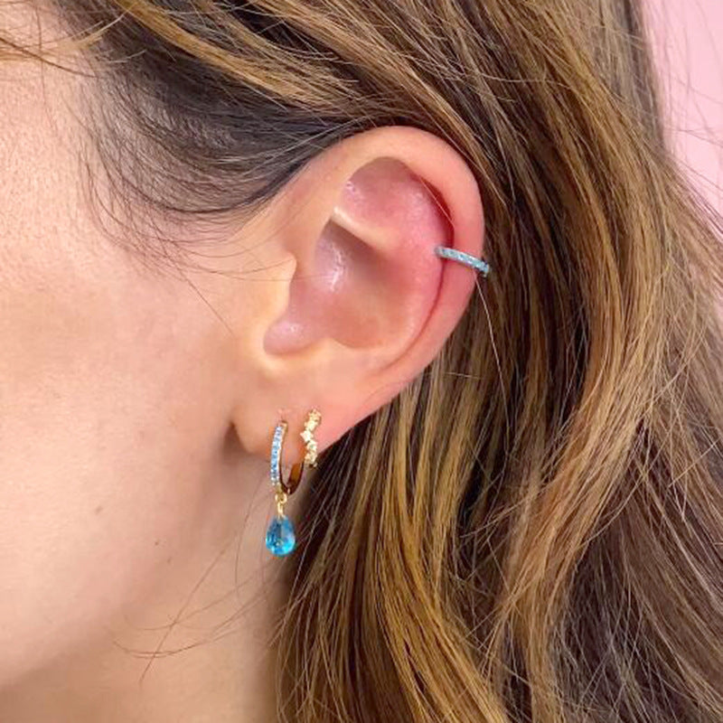 Elegant Earrings