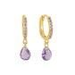 Elegant Earrings