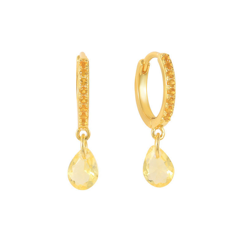 Elegant Earrings