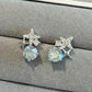 Elegant Star Earrings
