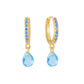 Elegant Earrings