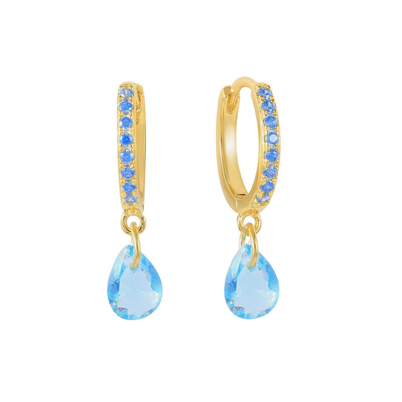 Elegant Earrings