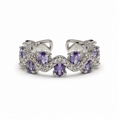 Elegant Number Ring