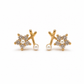 Silver Needle Zircon Flower Earrings