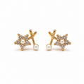 Silver Needle Zircon Flower Earrings