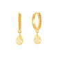 Elegant Earrings